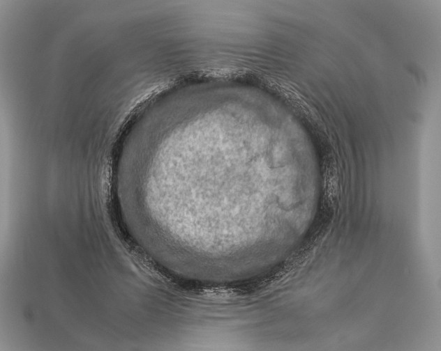 X0000112950591200909211156