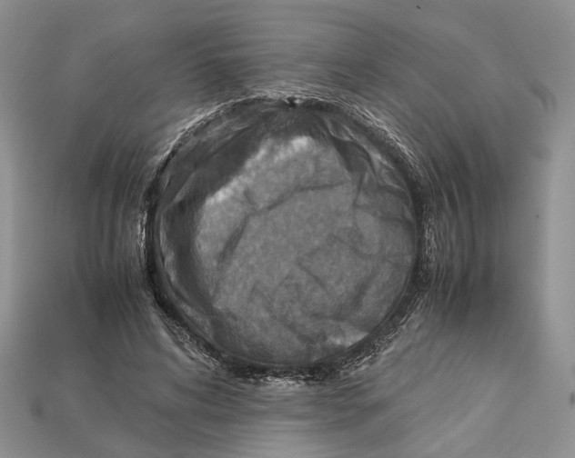 X0000112950592200909211156