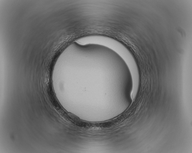 X0000112950593200909211156