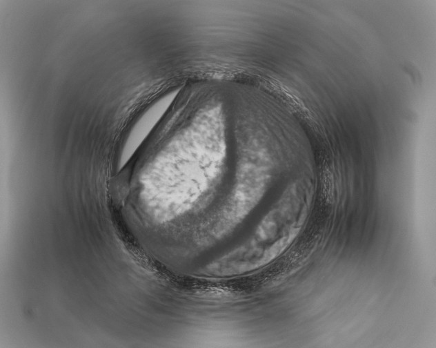 X0000112950594200909211156