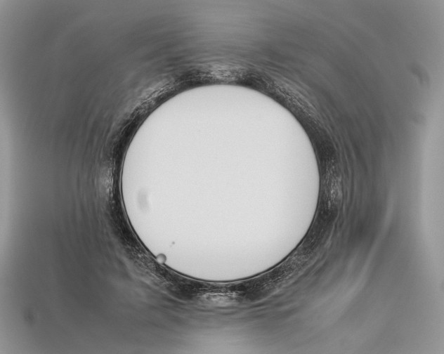 X0000112950595200909211156