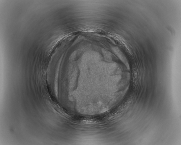 X0000112950596200909211156