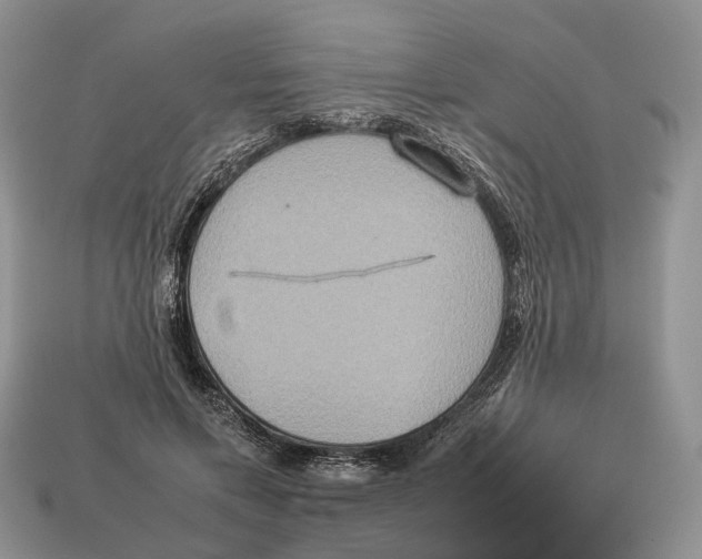 X0000112950597200909211156