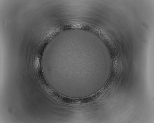 X0000112950598200909211156