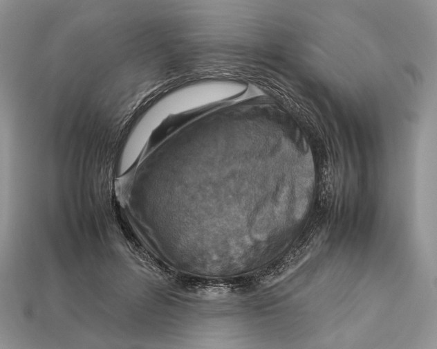 X0000112950600200909211156