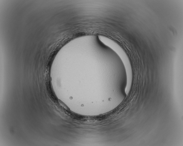 X0000112950601200909211156