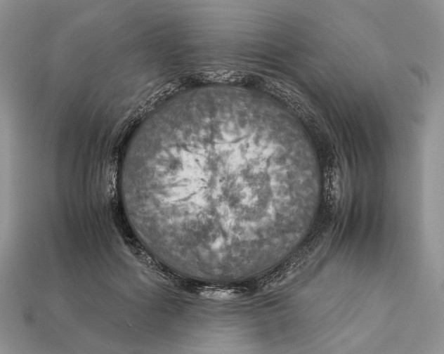 X0000112950602200909211156