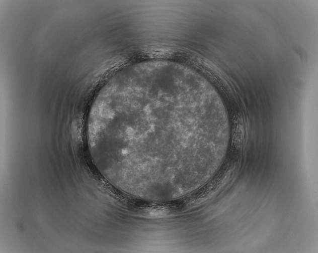 X0000112950604200909211156