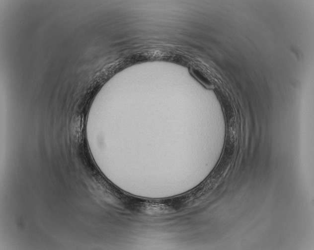 X0000112950605200909211156