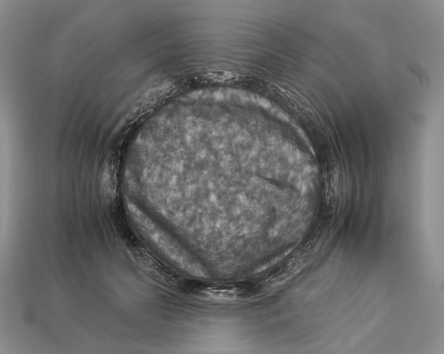 X0000112950606200909211156