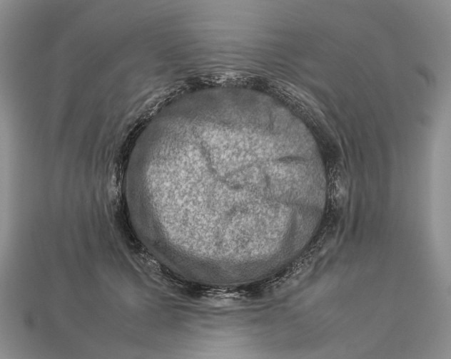 X0000112950607200909211156