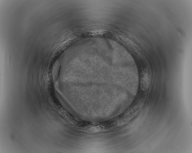 X0000112950608200909211156