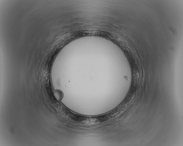 X0000112950609200909211156
