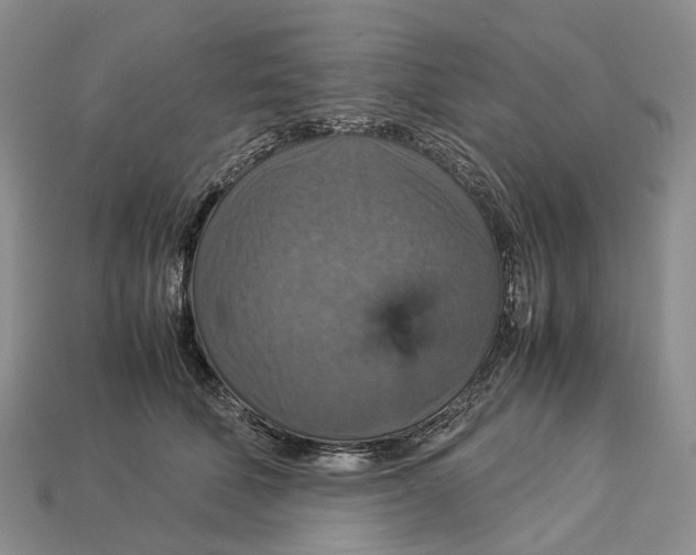 X0000112950610200909211156