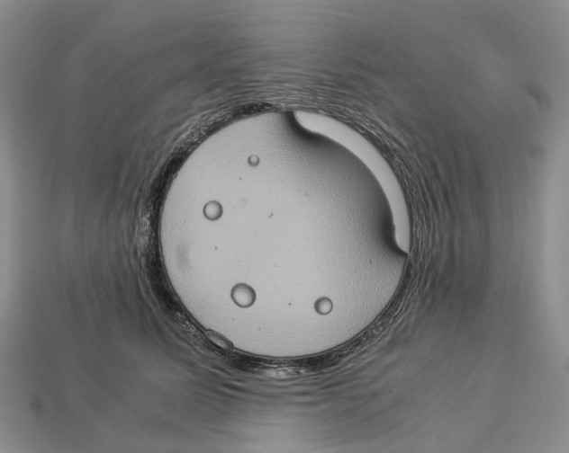 X0000112950611200909211156