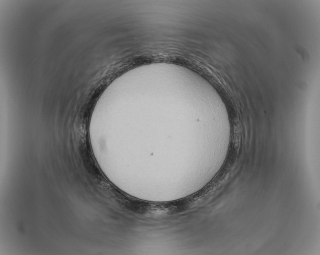 X0000112950613200909211156