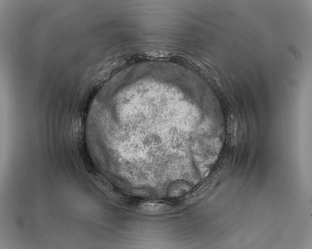 X0000112950614200909211156