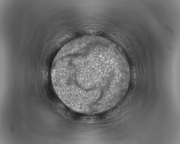 X0000112950615200909211156