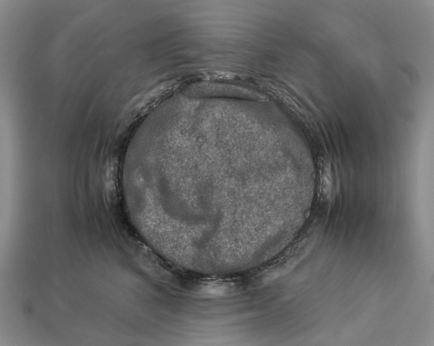 X0000112950616200909211156