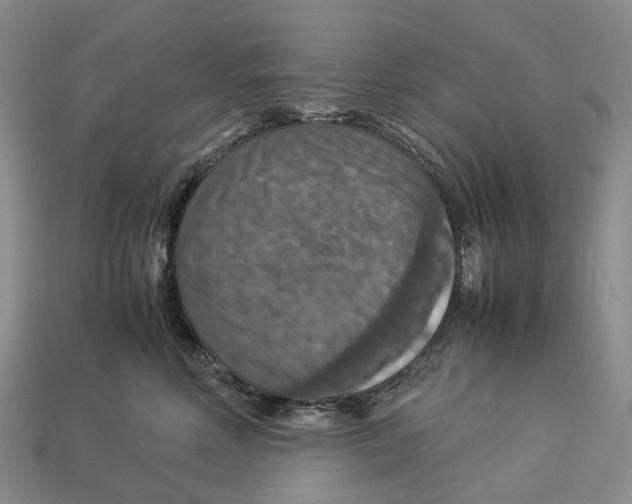 X0000112950618200909211156