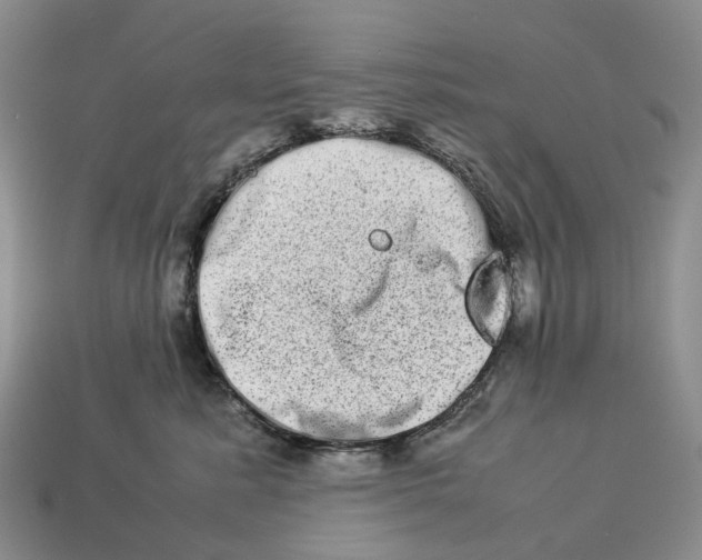 X0000112950619200909211156