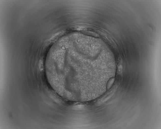 X0000112950620200909211155