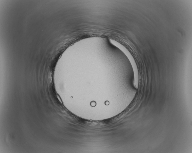 X0000112950621200909211155