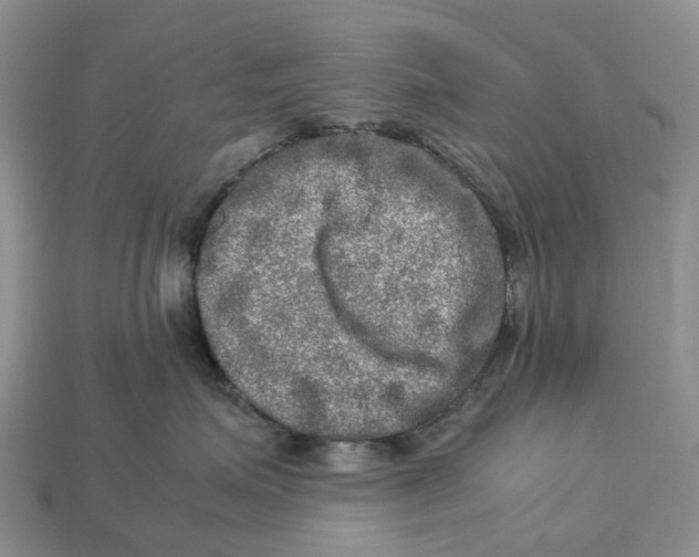 X0000112950623200909211155