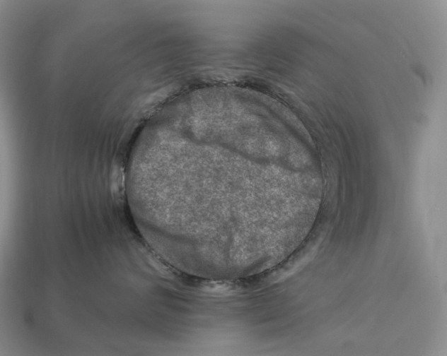 X0000112950624200909211155