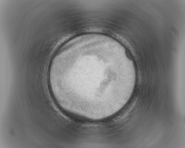 X0000112950625200909211155