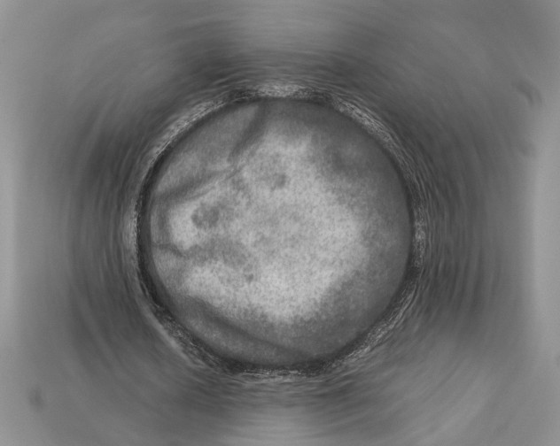 X0000112950626200909211155