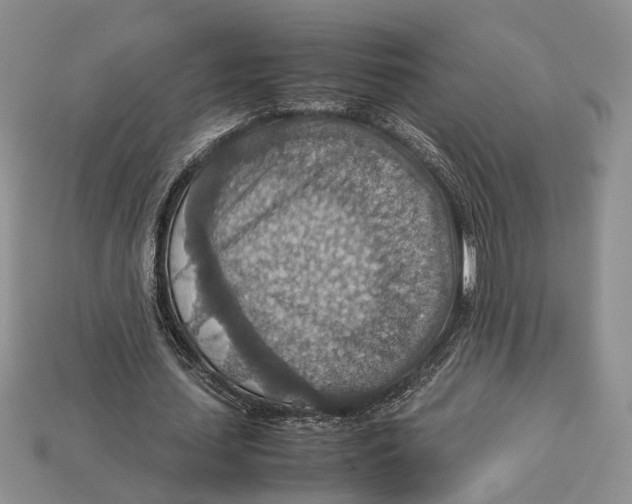 X0000112950627200909211155