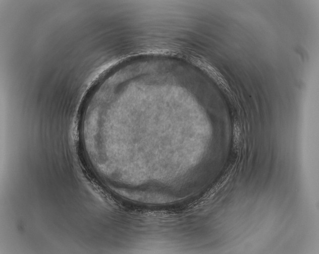 X0000112950628200909211155