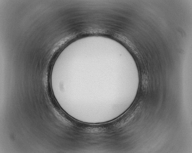 X0000112950629200909211155