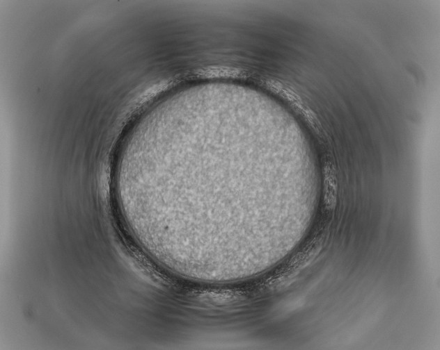 X0000112950631200909211155