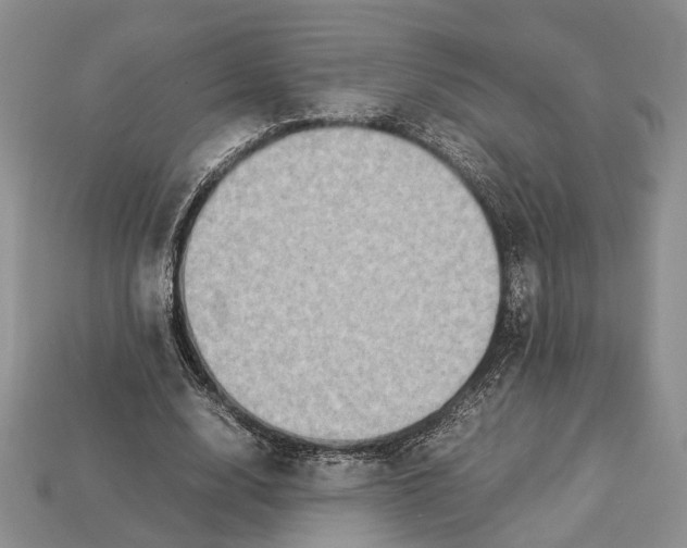 X0000112950632200909211155