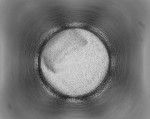 X0000112950633200909211155