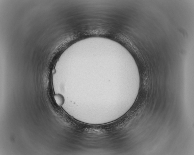 X0000112950635200909211155