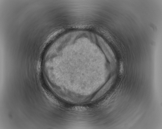 X0000112950636200909211155