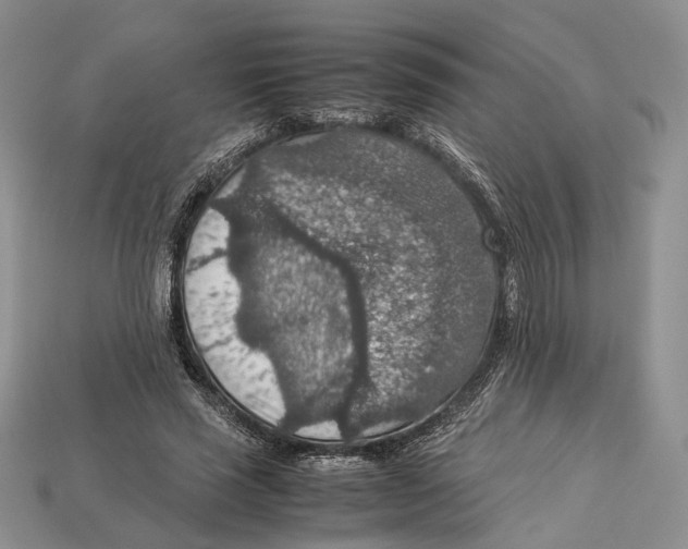 X0000112950637200909211155