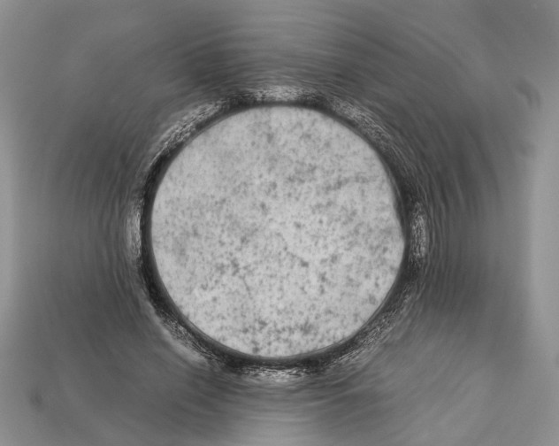 X0000112950638200909211155