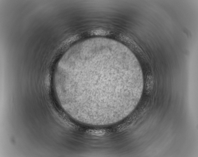 X0000112950639200909211155