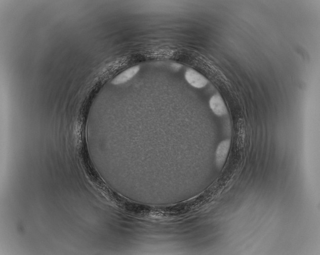 X0000112950641200909211155