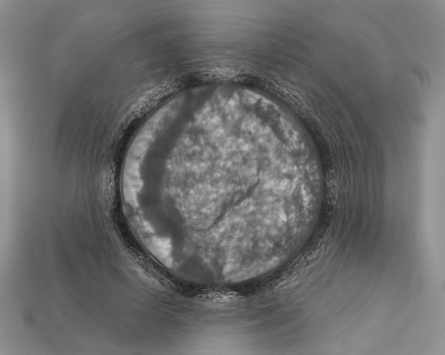 X0000112950642200909211155