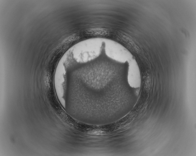 X0000112950643200909211155