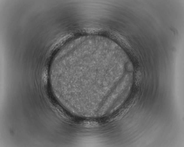 X0000112950644200909211155