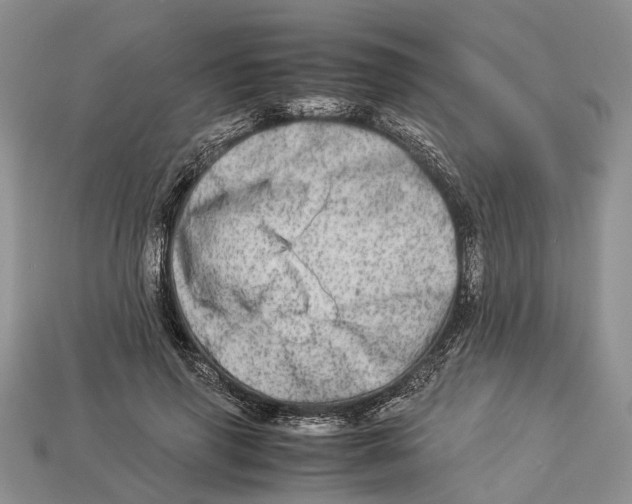 X0000112950645200909211155