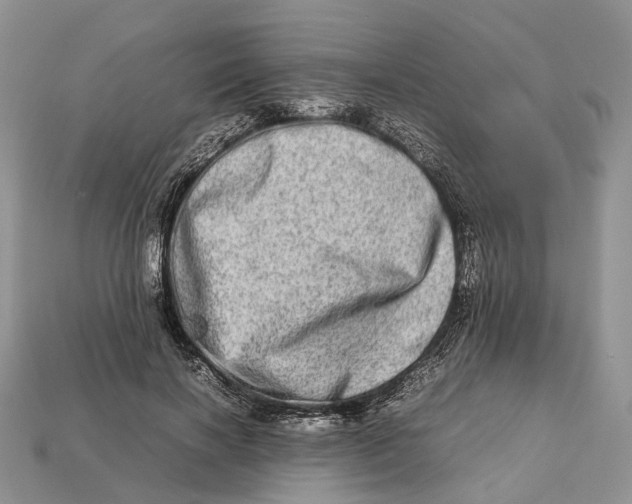 X0000112950646200909211155