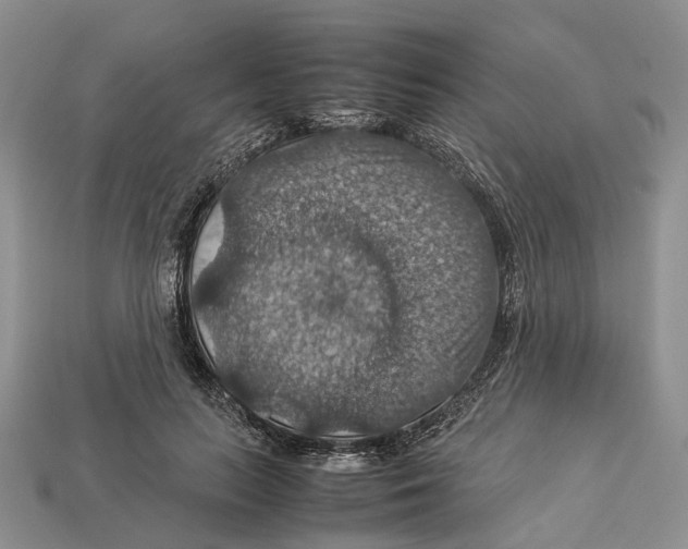 X0000112950647200909211155