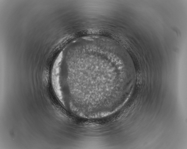 X0000112950648200909211155